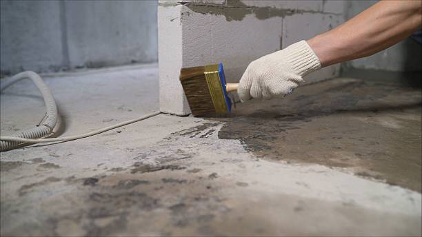 24/7 Emergency Wet Basement Repair experts in Knoxville, IL